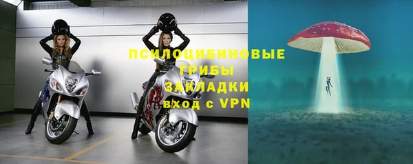 бошки Арсеньев